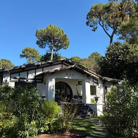 Villa Scipion - Archik - Sur *